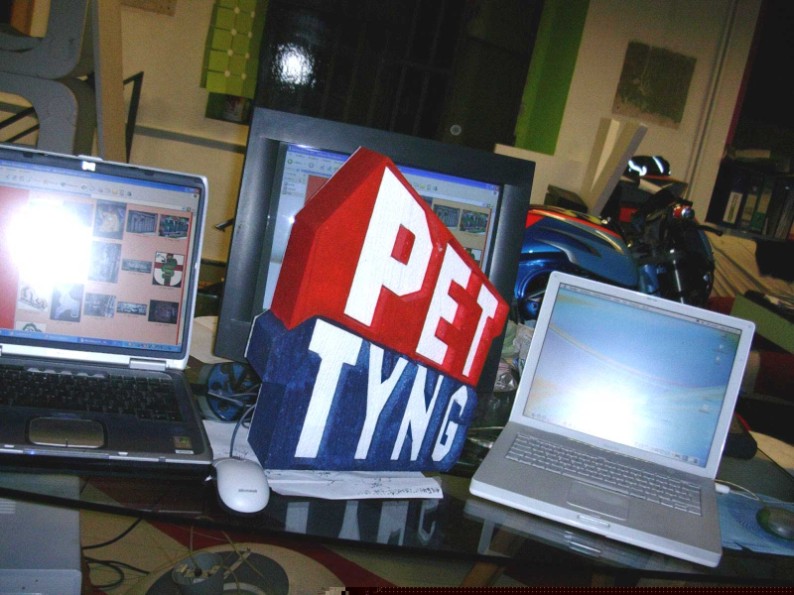 PETTYNG: LOGO IN POLISTIROLO